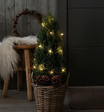 Lyslenke 3 m gull Lyslenke 3 m gull